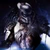   Predator