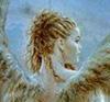   Annet_T