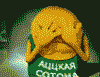   CTR@X.ru