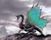   Black Dragon