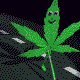   DiGrizz