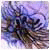   isopTolf73